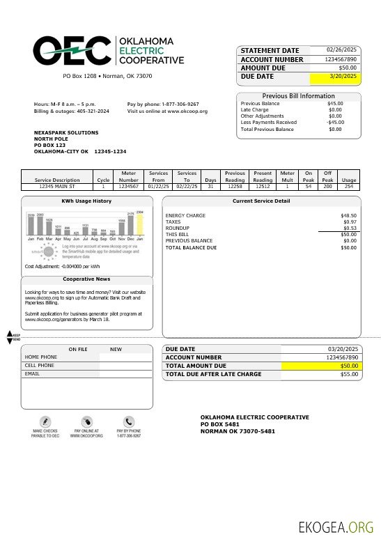 Modèle de facture de services publics d'électricité des États Unis OEC aux formats Word et PDF